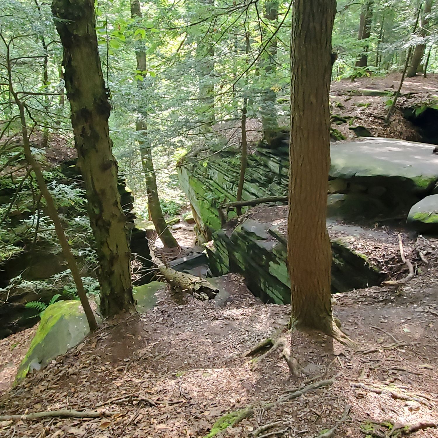 Ledges and Pine Grove Trails 